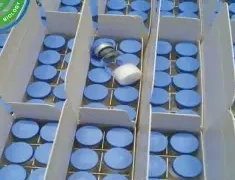 99% Purity 2mg/Vial Hexarelin for Stimulating Gh Secretion Bodybuilding CAS 140703-51-1
