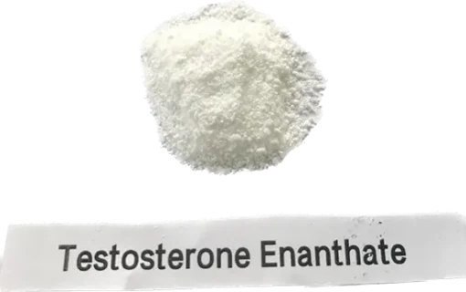 Testosterone enanthate/Test en Raw Steroids powder for muscle growth