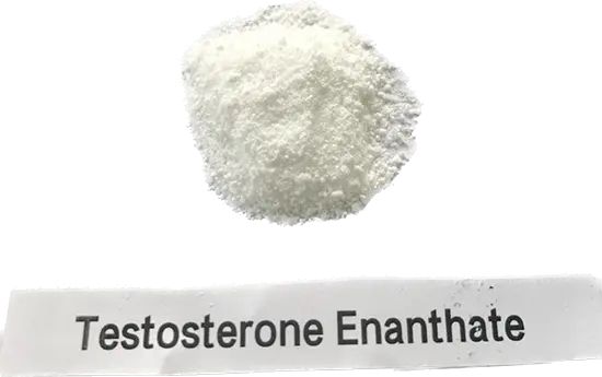 Testosterone enanthate/Test en Raw Steroids powder for muscle growth