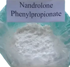 Nand Phen/Nandrolone Phenypropionate Steroids For Lean Bulk