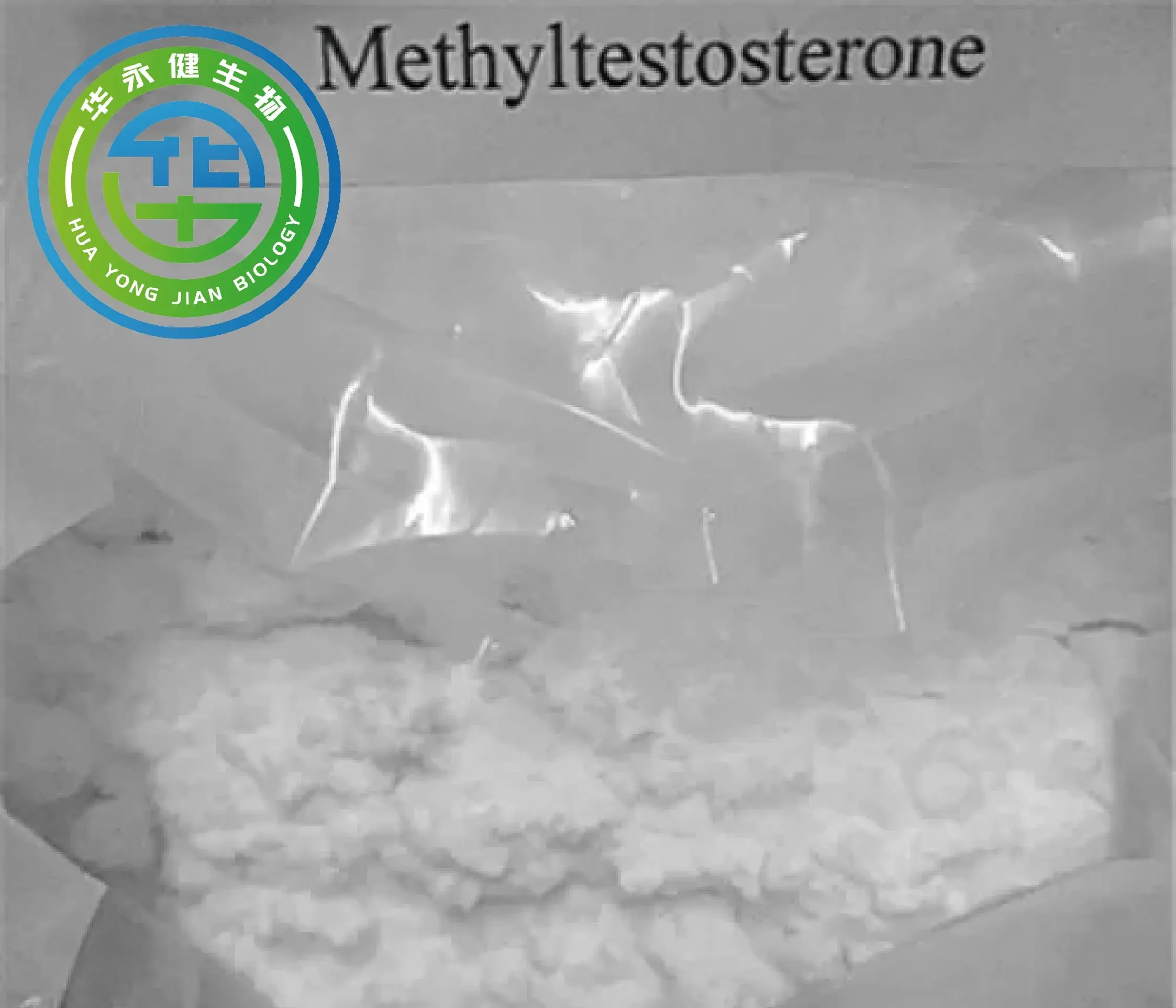 Testosterone 17 /Methyltestosterone Raw Hormone Powder for Anti-Aging CAS 58-18-4