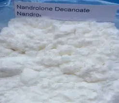 99% Raw Steroid Nandrolone Decanoate Powder CAS 360-70-3/DECA Hormone Powder Deca300 For Budy Building