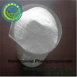 Nandrolone Phenylpropionate Anti Aging Durabolin NPP Hormone Steroid For Muscle Building CAS 7207-92-3