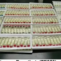 High Quality Testosterone Enanthate 250 250mg/ml Injectable Anabolic Steroids TE 250 Semi Finished Oil For Weight Loss