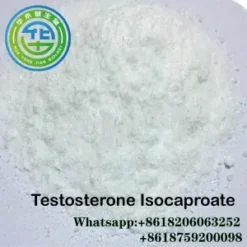 99% Testosterone Isocaproate/Test I Safe Steroids For Muscle Building CasNO.15262-86-9