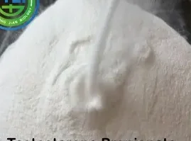 Muscle Building Testosterone Steroids Powder Testosterone Propionate Test Prop CAS 57-85-2 - Image 2