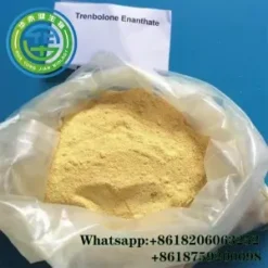 Injectable Parabolan Muscle Building Tren Enanthate Steroids Trenbolone Enanthate steroids powder Tren E CasNO.472-61-5