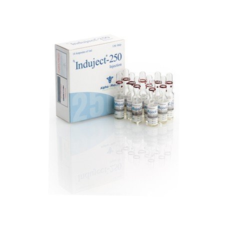 Induject 250 10x 1ml (250mg/ml)